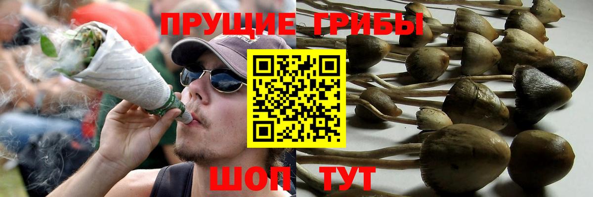 Галлюциногенные грибы Psilocybine cubensis  Вход с VPN  что такое наркотик  Каспийск 